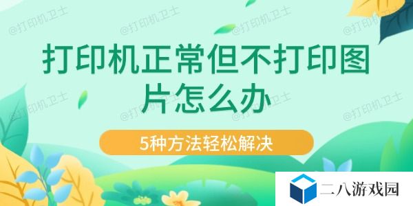 打印机正常但不打印图片怎么办