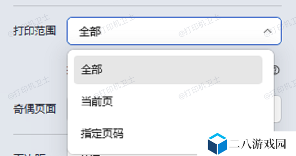 检查打印设置