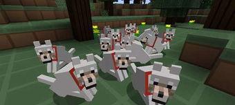 我的世界草坪怎么染色,Minecraft草坪染色生成攻略