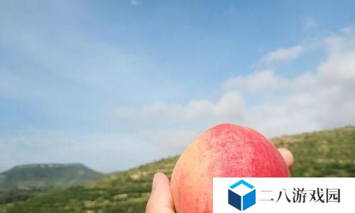 我的世界桃子怎么种植,Minecraft中桃子的种植与生成指南