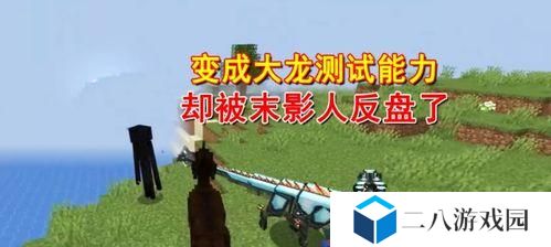 我的世界龙吃什么补血,揭秘其补血食物与繁殖奥秘
