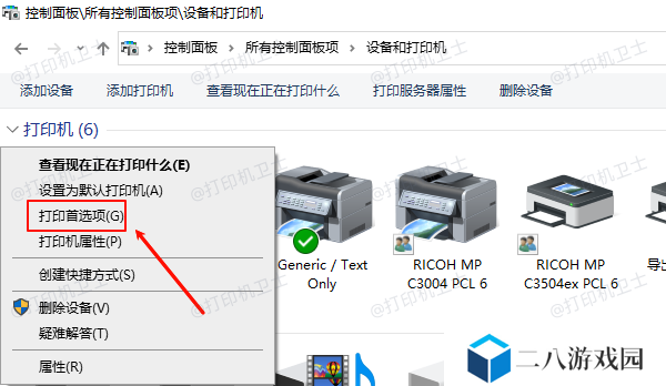 打印首选项