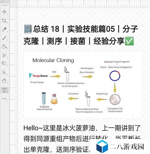 克隆装备技能选择攻略（充分利用克隆技能，打造最强装备）