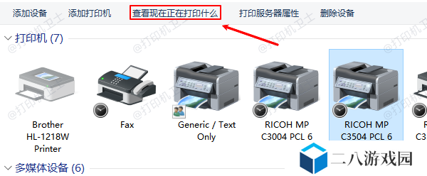 查看现在正在打印什么