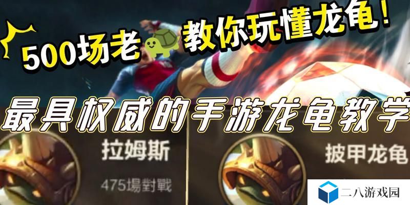 龙龟出装攻略（如何选择最佳装备打造超强龙龟阵容）