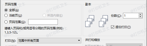 检查打印选项是否启用了页码区域